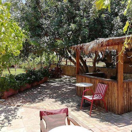 Villa Eleana Chania  Ngoại thất bức ảnh
