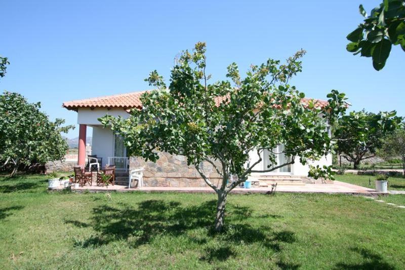 Villa Eleana Chania  Ngoại thất bức ảnh