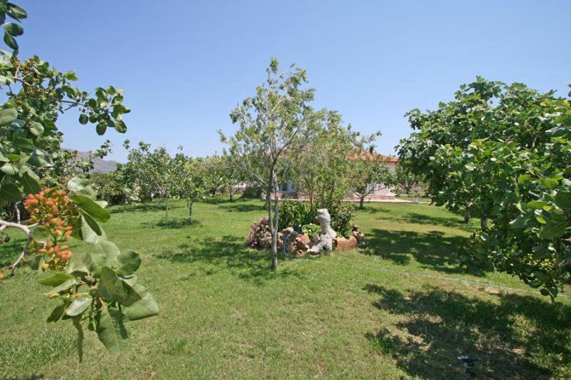 Villa Eleana Chania  Ngoại thất bức ảnh